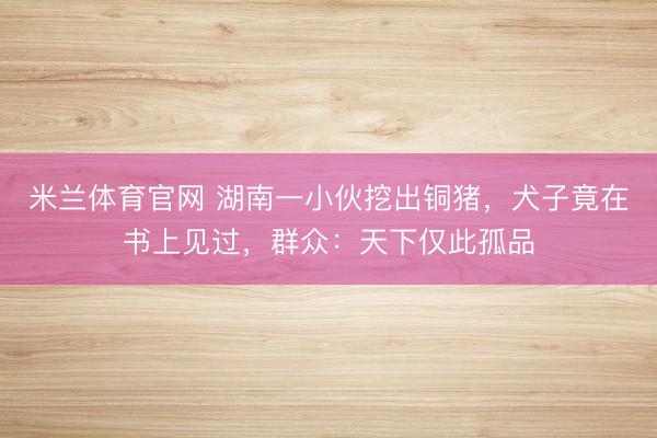 米兰体育官网 湖南一小伙挖出铜猪，犬子竟在书上见过，群众：天下仅此孤品