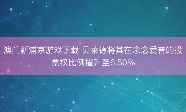 澳门新浦京游戏下载 贝莱德将其在念念爱普的投票权比例擢升至6.50%